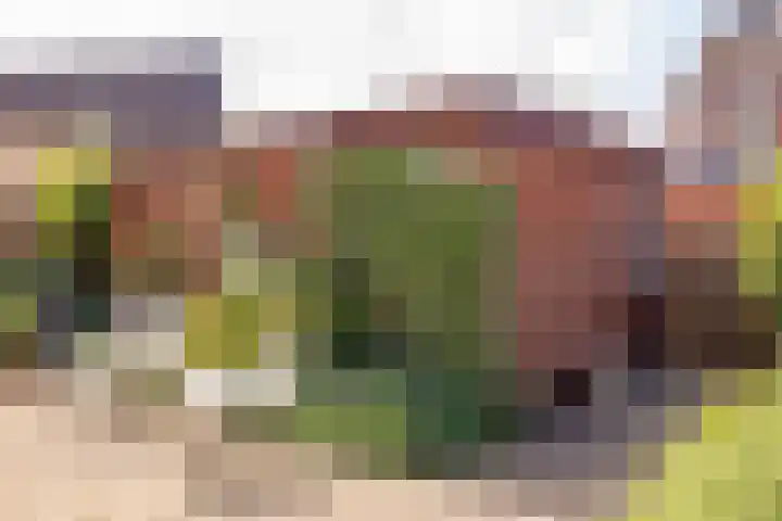 Pollux 1 Hoogeveen thumbnail 43