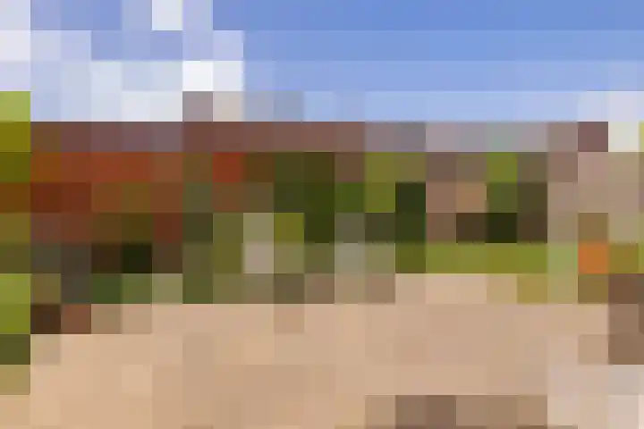 Pollux 1 Hoogeveen thumbnail 47