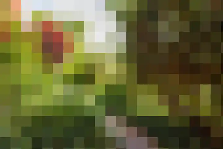 Pollux 1 Hoogeveen thumbnail 48