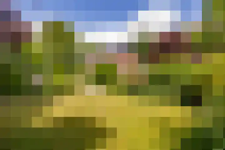 Pollux 1 Hoogeveen thumbnail 49