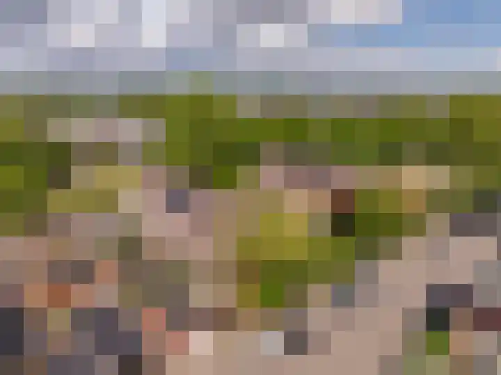 Pollux 1 Hoogeveen thumbnail 50