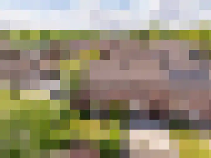Pollux 1 Hoogeveen thumbnail 52