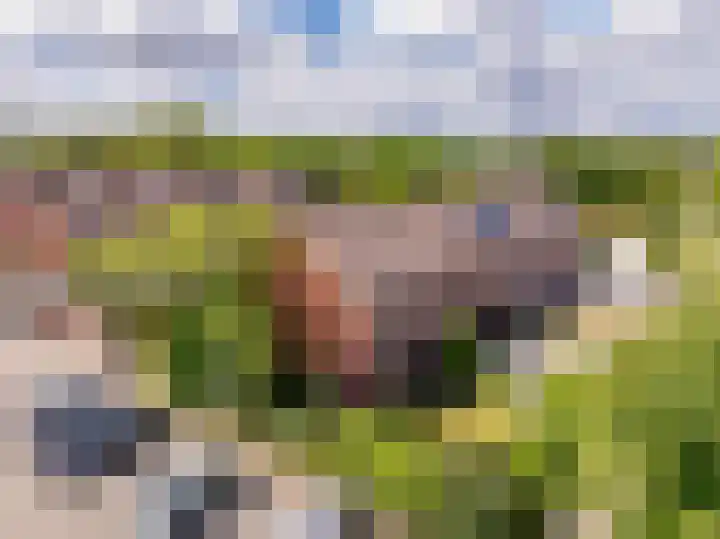 Pollux 1 Hoogeveen thumbnail 53