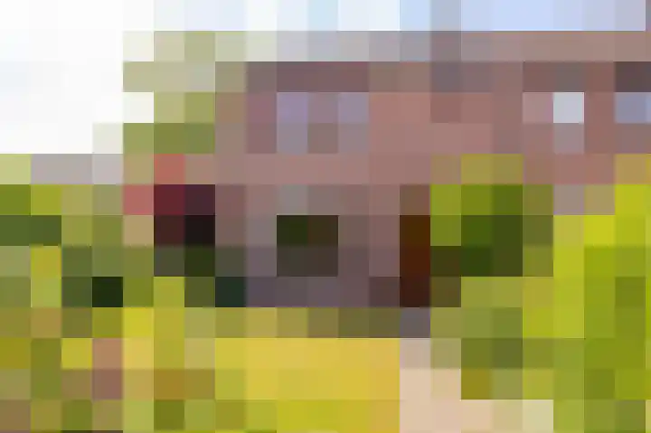Pollux 1 Hoogeveen thumbnail 55