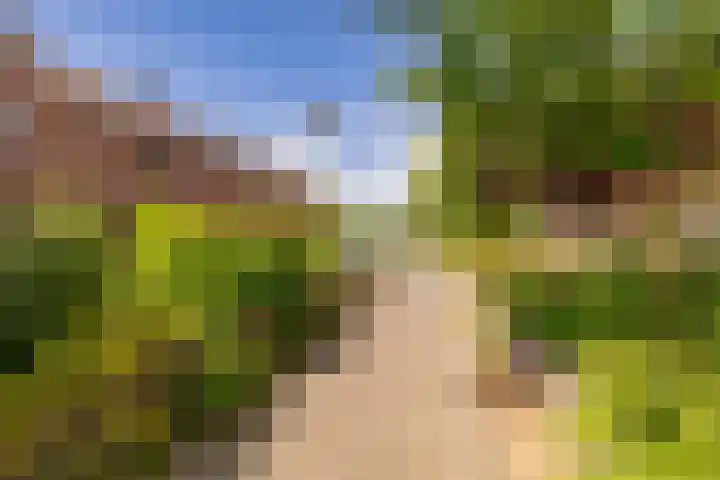 Pollux 1 Hoogeveen thumbnail 56