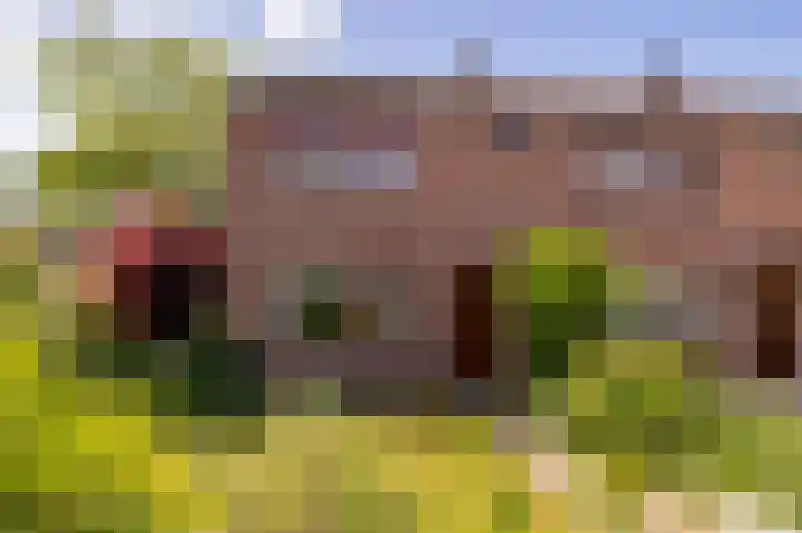 Pollux 1 Hoogeveen thumbnail 7