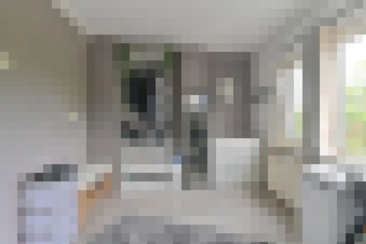Pollux 10 Hoogeveen thumbnail 31