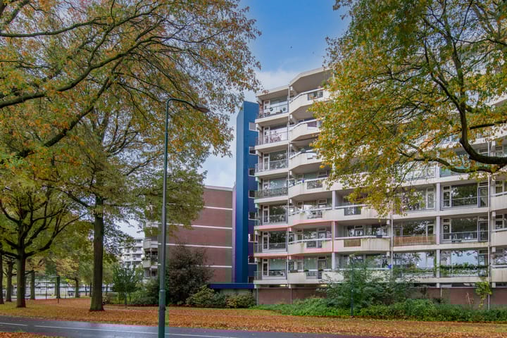 Pollux 113 in Veenendaal foto