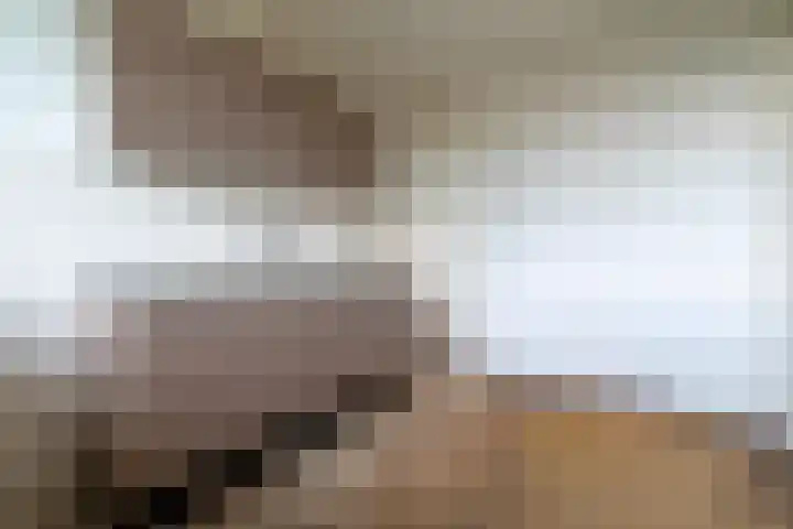 Pollux 113 Veenendaal thumbnail 10