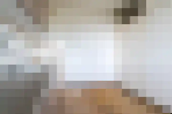 Pollux 113 Veenendaal thumbnail 11