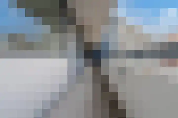 Pollux 113 Veenendaal thumbnail 22