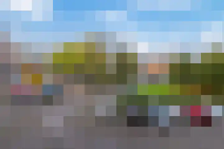 Pollux 113 Veenendaal thumbnail 24