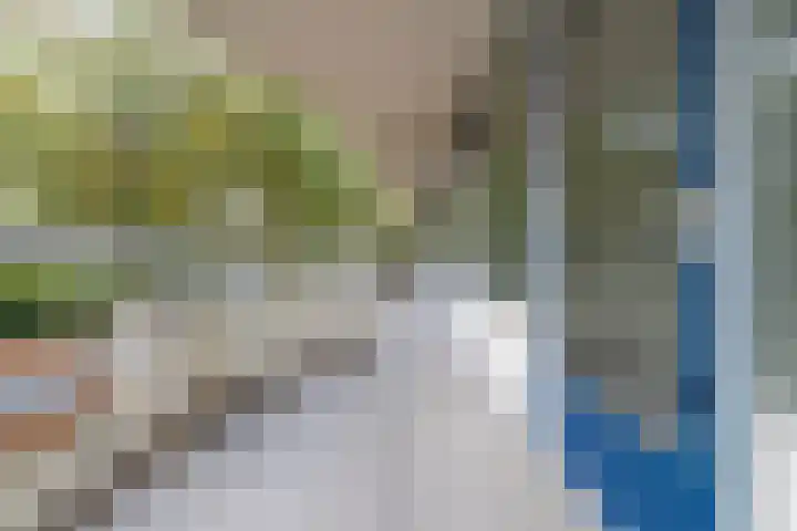 Pollux 113 Veenendaal thumbnail 5