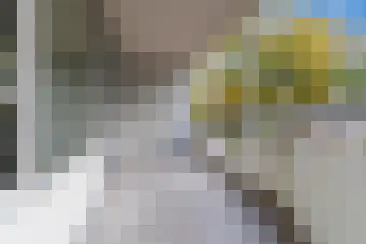 Pollux 113 Veenendaal thumbnail 6