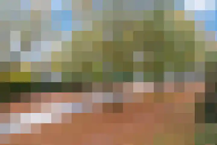 Pollux 113 Veenendaal thumbnail 7