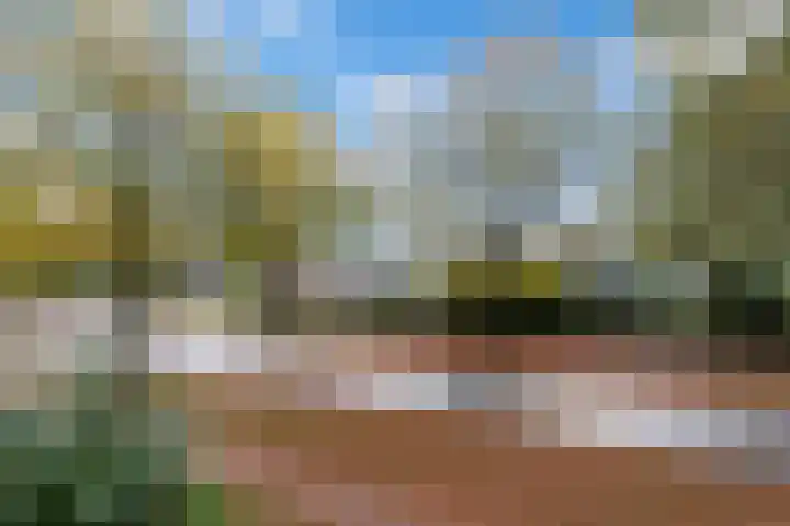 Pollux 113 Veenendaal thumbnail 8
