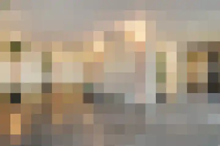 Pollux 141 Veenendaal thumbnail 10
