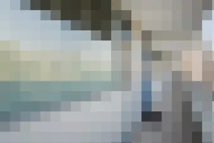 Pollux 141 Veenendaal thumbnail 11