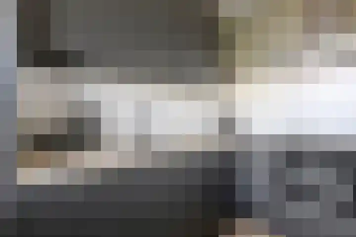 Pollux 141 Veenendaal thumbnail 14