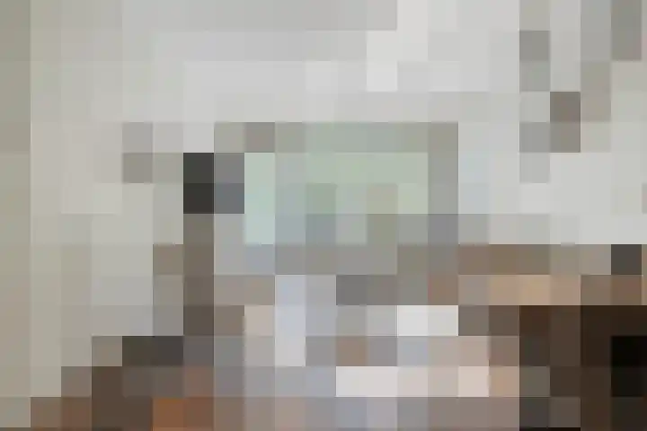 Pollux 141 Veenendaal thumbnail 21
