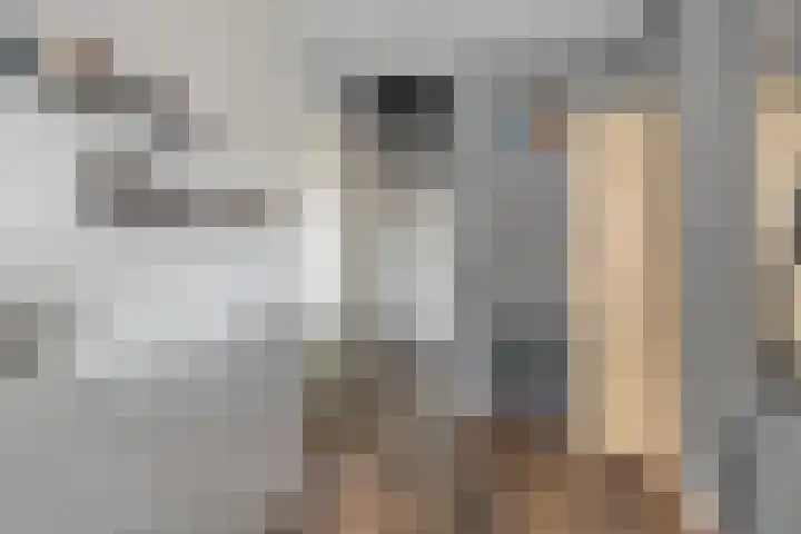 Pollux 141 Veenendaal thumbnail 27