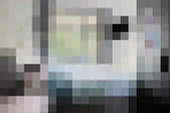 Pollux 141 Veenendaal thumbnail 30