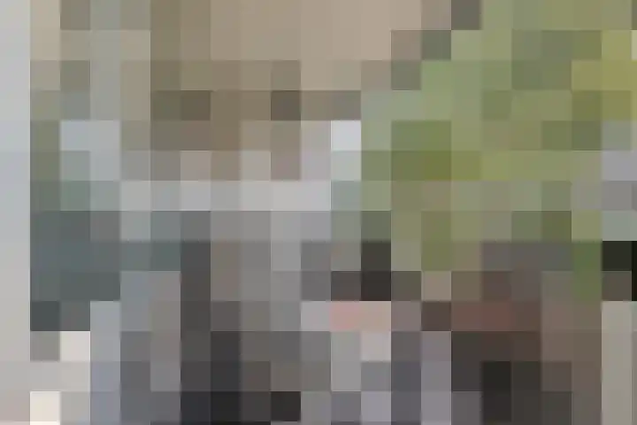 Pollux 141 Veenendaal thumbnail 31