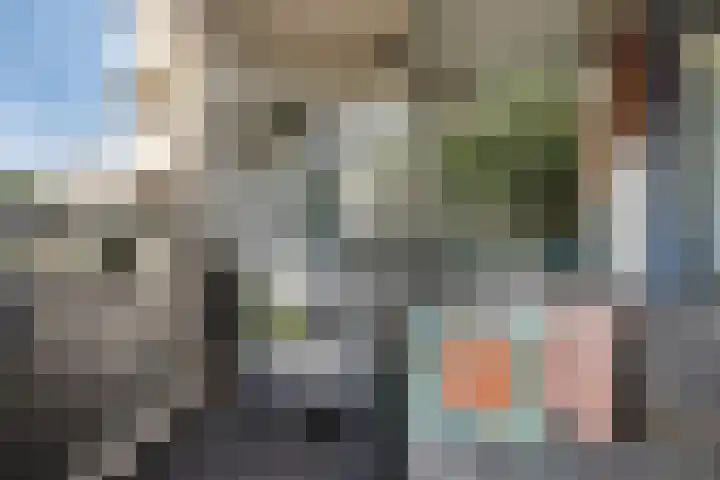 Pollux 141 Veenendaal thumbnail 32
