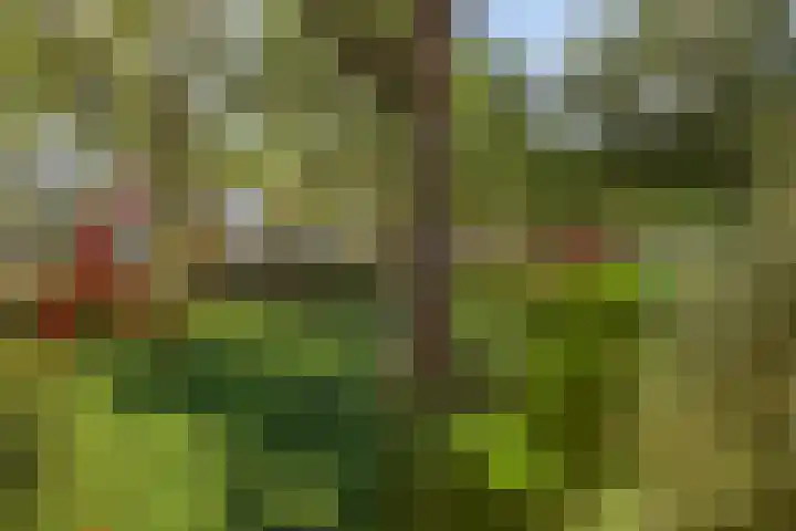 Pollux 141 Veenendaal thumbnail 33