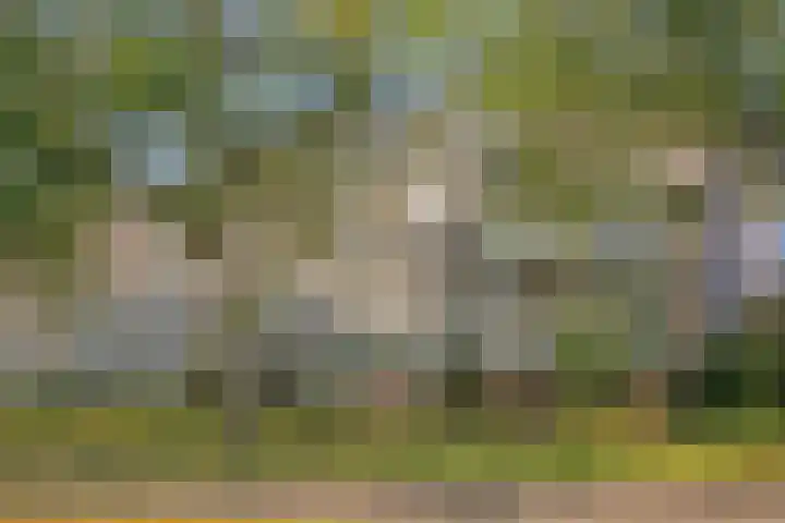 Pollux 141 Veenendaal thumbnail 34
