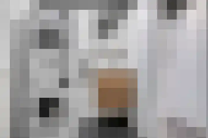 Pollux 141 Veenendaal thumbnail 4