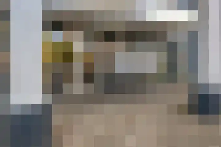 Pollux 141 Veenendaal thumbnail 7