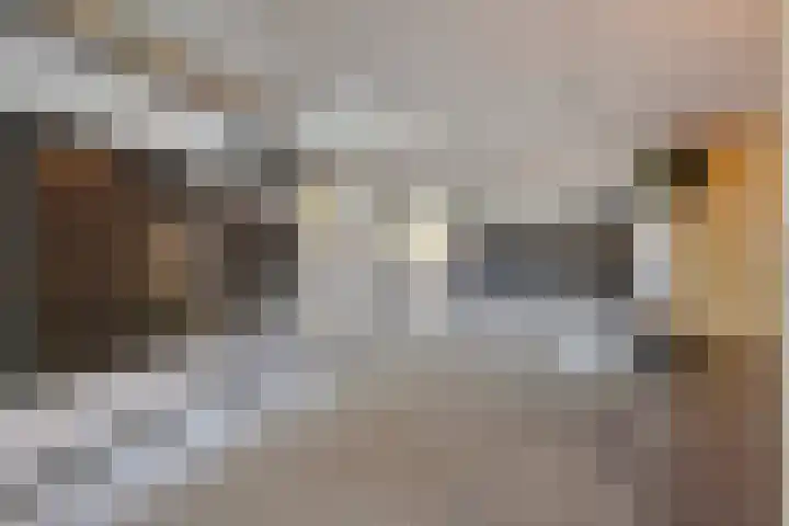 Pollux 141 Veenendaal thumbnail 8