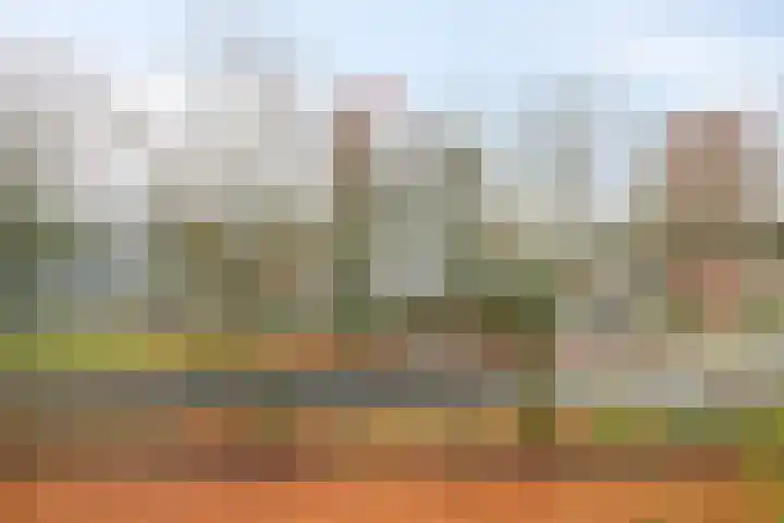 Pollux 153 Veenendaal thumbnail 29