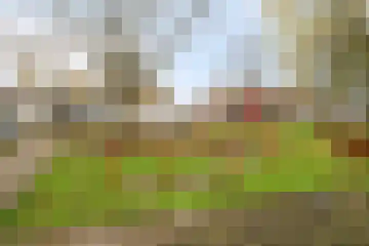 Pollux 153 Veenendaal thumbnail 31