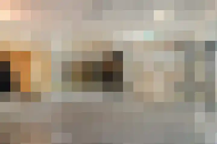 Pollux 153 Veenendaal thumbnail 6
