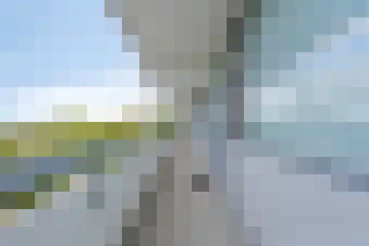 Pollux 159 Veenendaal thumbnail 13