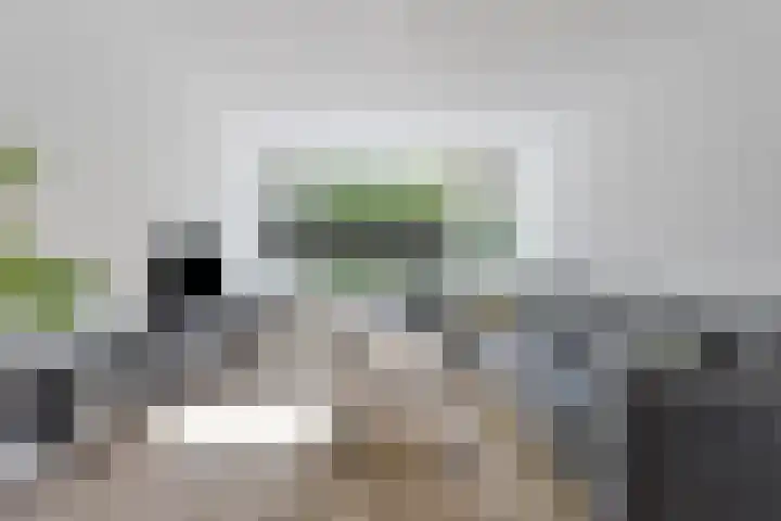 Pollux 159 Veenendaal thumbnail 19