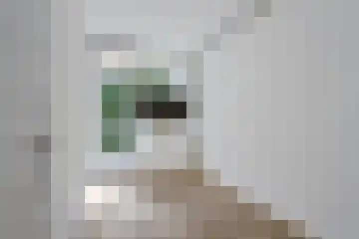 Pollux 159 Veenendaal thumbnail 28