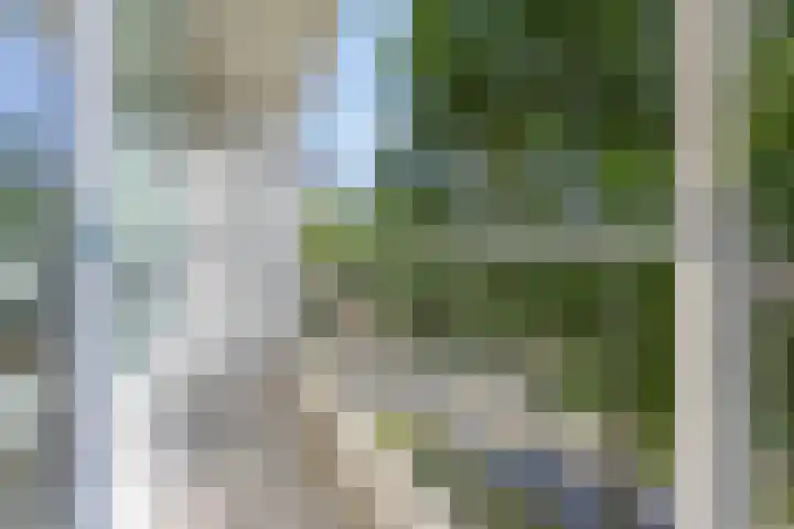 Pollux 159 Veenendaal thumbnail 29