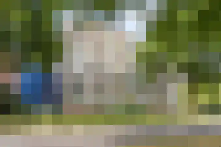 Pollux 159 Veenendaal thumbnail 31