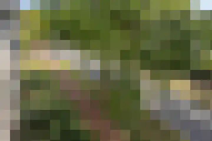 Pollux 159 Veenendaal thumbnail 32