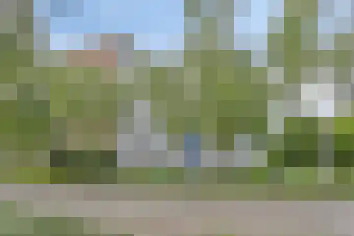 Pollux 159 Veenendaal thumbnail 34