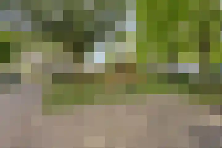 Pollux 159 Veenendaal thumbnail 35