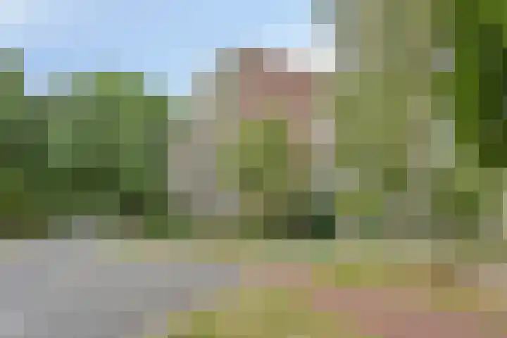 Pollux 159 Veenendaal thumbnail 36