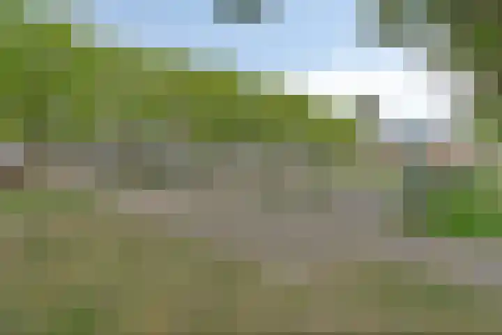 Pollux 159 Veenendaal thumbnail 37