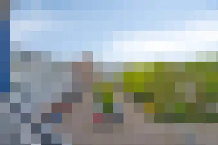 Pollux 159 Veenendaal thumbnail 39