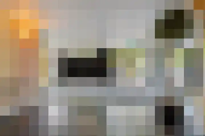 Pollux 159 Veenendaal thumbnail 8