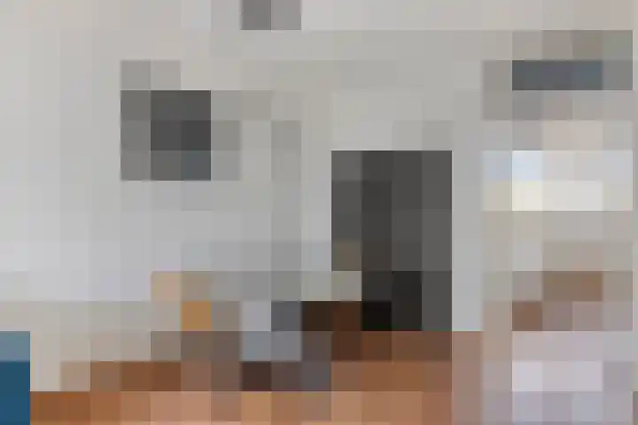Pollux 161 Veenendaal thumbnail 13