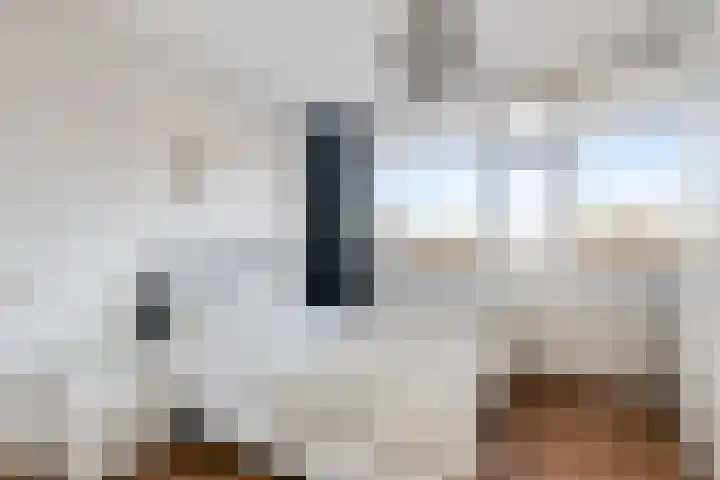 Pollux 161 Veenendaal thumbnail 15